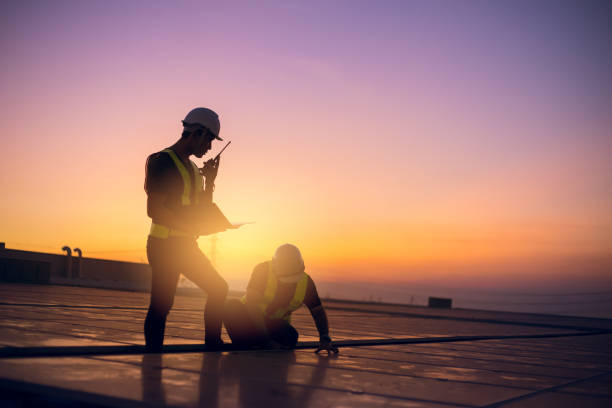 Roof Moss and Algae Removal in Harbison Canyon, CA